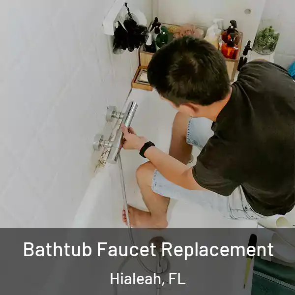  Bathtub Faucet Replacement Hialeah, FL