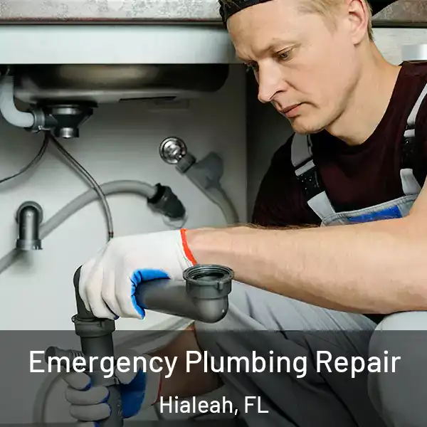  Emergency Plumbing Repair Hialeah, FL