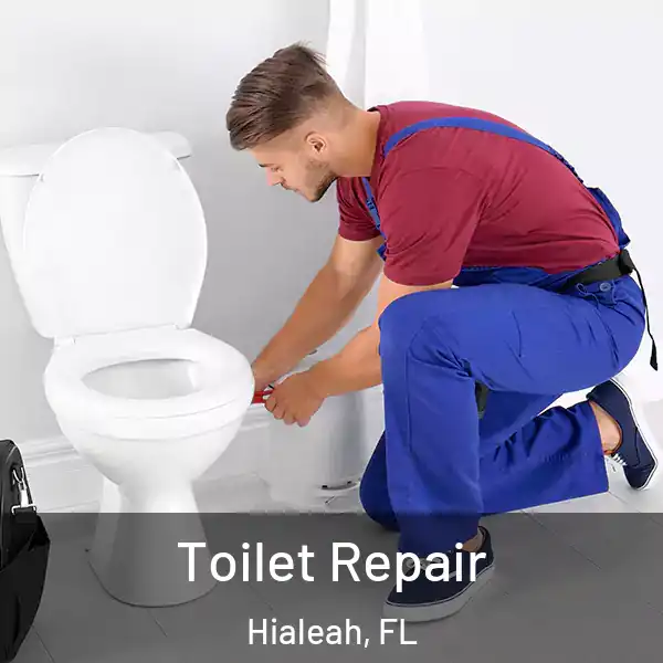  Toilet Repair Hialeah, FL