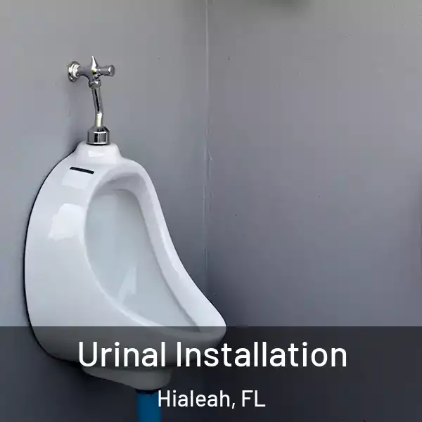  Urinal Installation Hialeah, FL