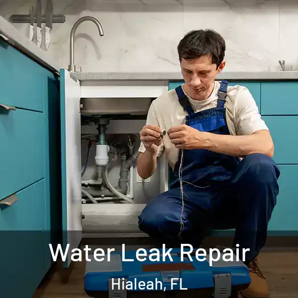  Water Leak Repair Hialeah, FL